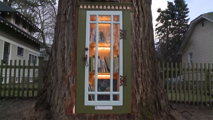 Woman Turned 110-Year-Old Dead Tree Into A Free Little Library For The Neighborhood And It Looks Magical