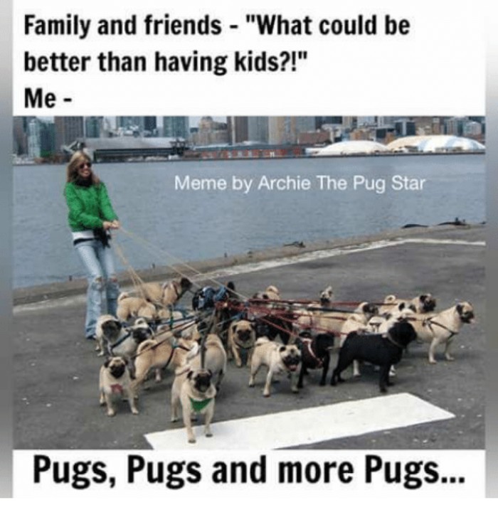Funny-Pets-Over-Kids-Memes
