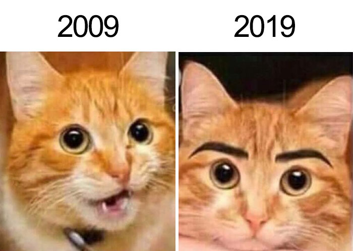 Funny-10-Year-Challenge-Memes