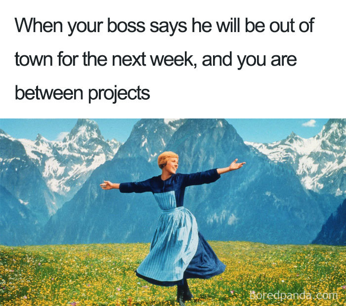 When boss says he will be out of town for the next week meme