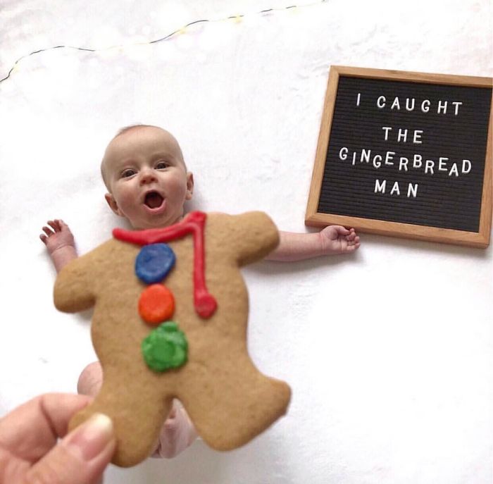 30 Of The Cutest Puns On The Internet 30 Of The Cutest Puns On The Internet