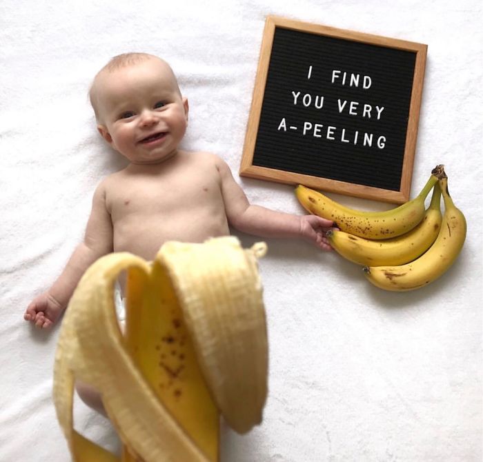 30 Of The Cutest Puns On The Internet 30 Of The Cutest Puns On The Internet