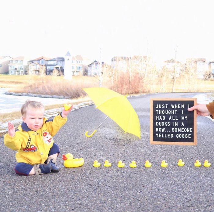 30 Of The Cutest Puns On The Internet 30 Of The Cutest Puns On The Internet