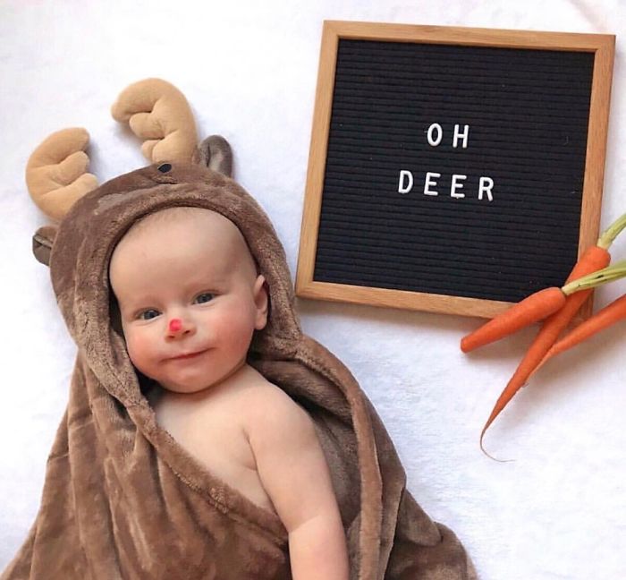 30 Of The Cutest Puns On The Internet 30 Of The Cutest Puns On The Internet