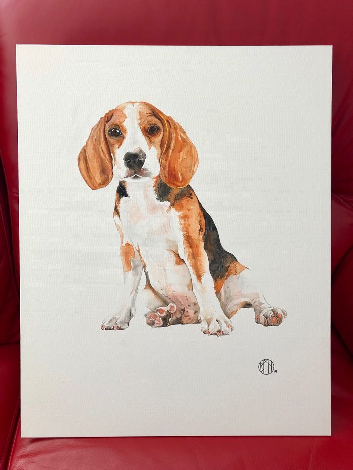 Still Painting Dogs And Experimenting With Watercolour As A Medium. I Have Always Liked Bassett Dogs: Such Cheerful And Energetic Dogs.
