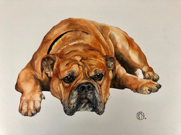Bulldog - Watercolour