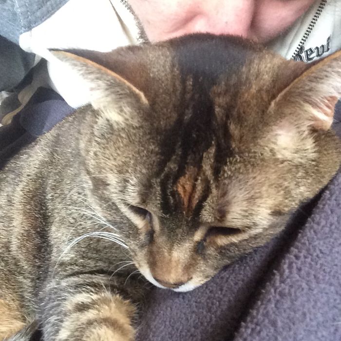 My Cat Buddha Being Warm