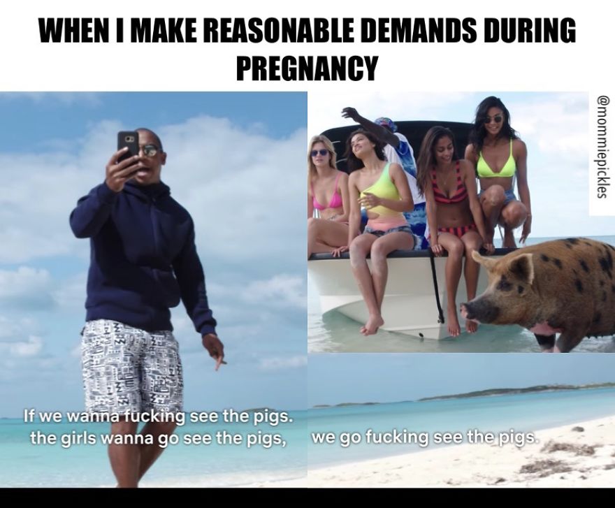 16 Memes That Prove That Fyre Festival Is Basically Parenting