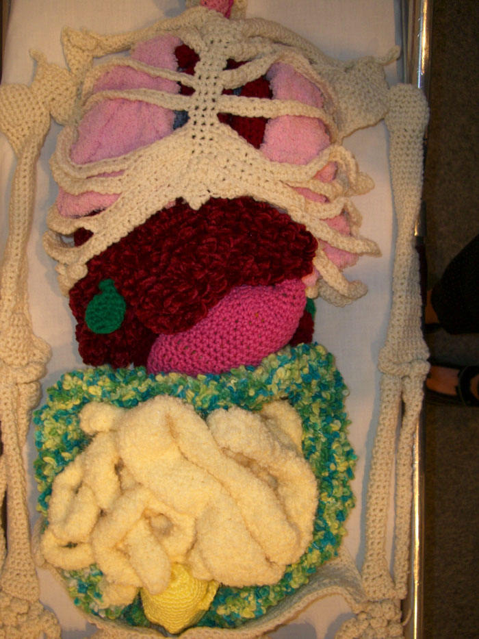This Life-Size Crochet Skeleton Is So Intricate, The Stomach Even Has Half-Digested Food In It