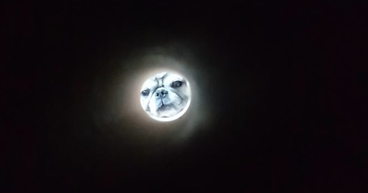 Apparently, If You Take A Selfie Through A Toilet Roll Tube You’ll Look Like The Moon, And The Pics Are Mildly Funny