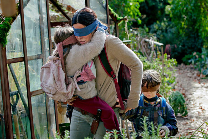 Netflix Warns People To Stop Doing The 'Bird Box Challenge', But Not Everyone Listens