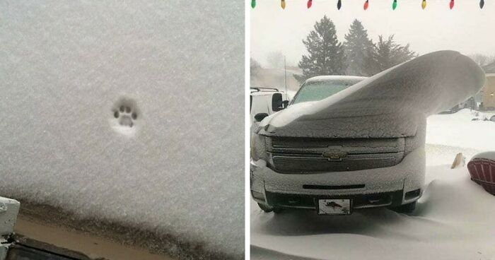 50 Times People Got So Satisfied Looking At Snow, They Just had To Document It