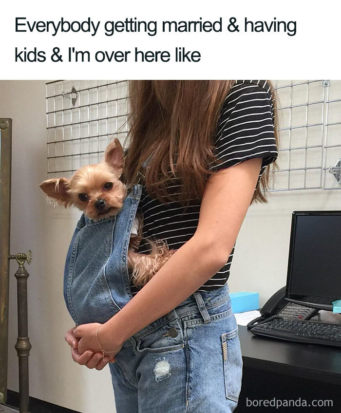 Funny-Pets-Over-Kids-Memes