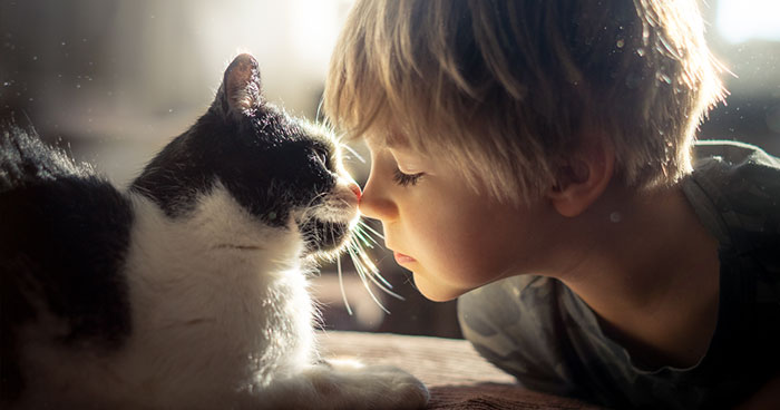 My Cats Are Afraid Of Kids Except For My Son So I Decided To Capture Their Bond (20 Pics)