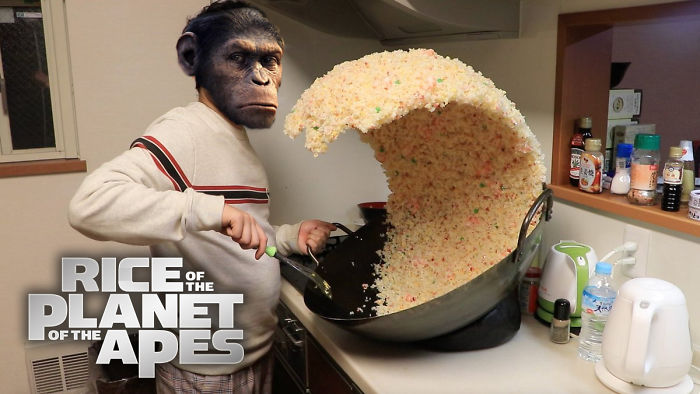 Rice Of The Planet Of The Apes