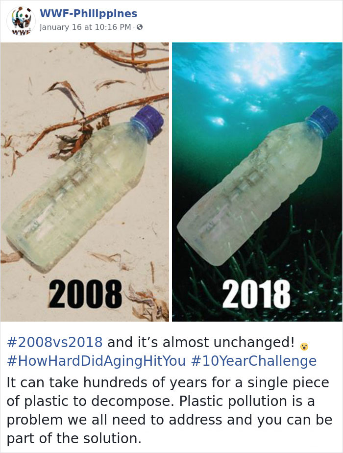 Sad-10-Year-Challenge-Nature-Memes