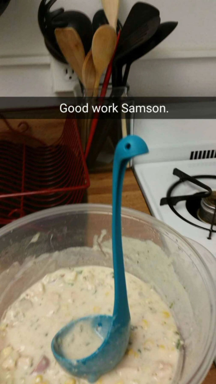Woman Creates An Instagram Account For Her Soup Ladle Samson And People Can't Get Enough Of Him