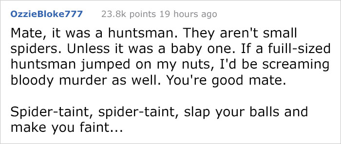 Guy Accidentally Sat On A Toilet With A Huntsman Spider In It, Says He Was Assaulted By 'World's Smallest Sexual Predator"
