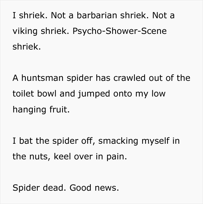 Guy Accidentally Sat On A Toilet With A Huntsman Spider In It, Says He Was  Assaulted By 'World's Smallest Sexual Predator