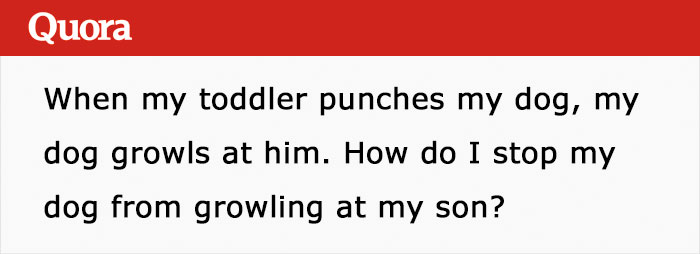 People Give Some Interesting Advice To Mom Wondering How To Get Dog To Stop Growling When Her Toddler Hits Him
