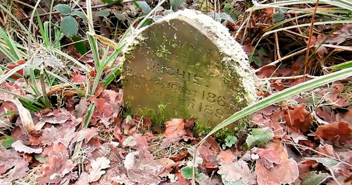 Man Finds A 130-Year-Old Tombstone In The Woods, Cleans It And Finds An Adorable Message On It