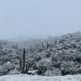 Snow Falls In Arizona Desert And The Pictures Are Chilling
