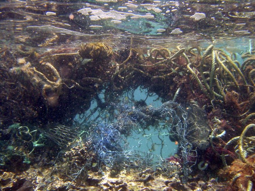What Is The Great Pacific Garbage Patch, Anyway?