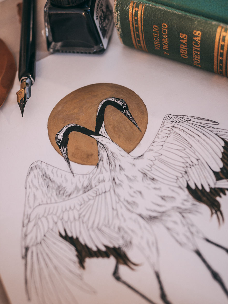 I‘ve Been Drawing Birds For 3 Years, Here Are The 10 Benefits I‘ve Noticed