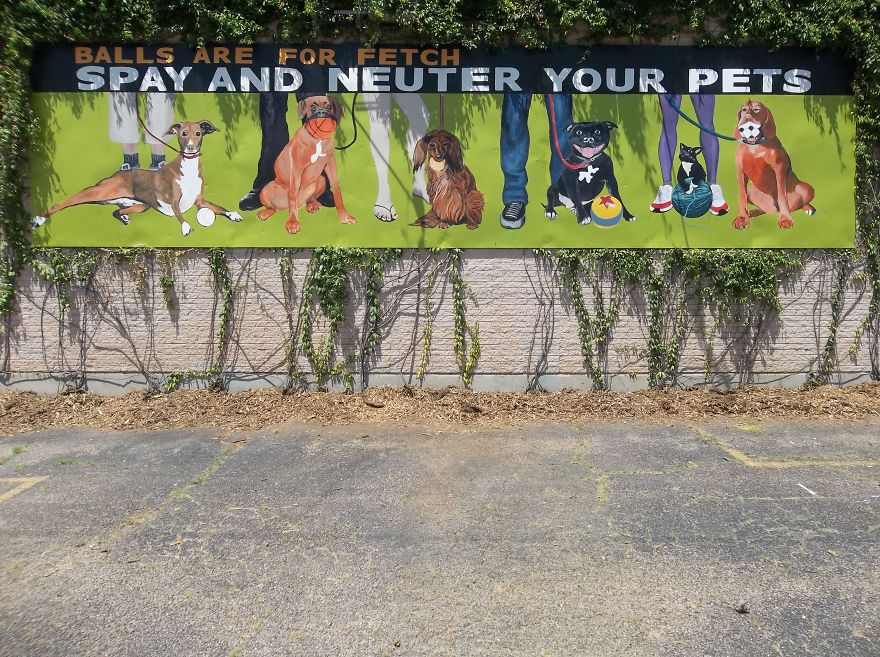 Wild Dogs Were Terrorizing My Neighborhood So I Made An Art Show For Cats And A Mural For Humans To Promote Responsible Pet Ownership