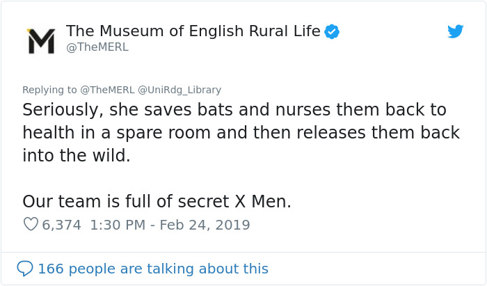 UK Library Museum Posts Hilarious Twitter Thread About A Bat Found In Their Store