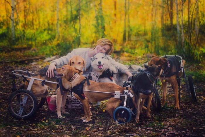 Esta famosa fotógrafa rusa dejó su carrera para vivir en un bosque con 100 perros enfermos