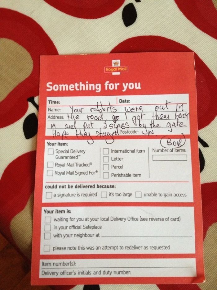 The Postman Saved Our Rabbits, Alice And Lilith, From Our Busy Road Then Left Us A Note