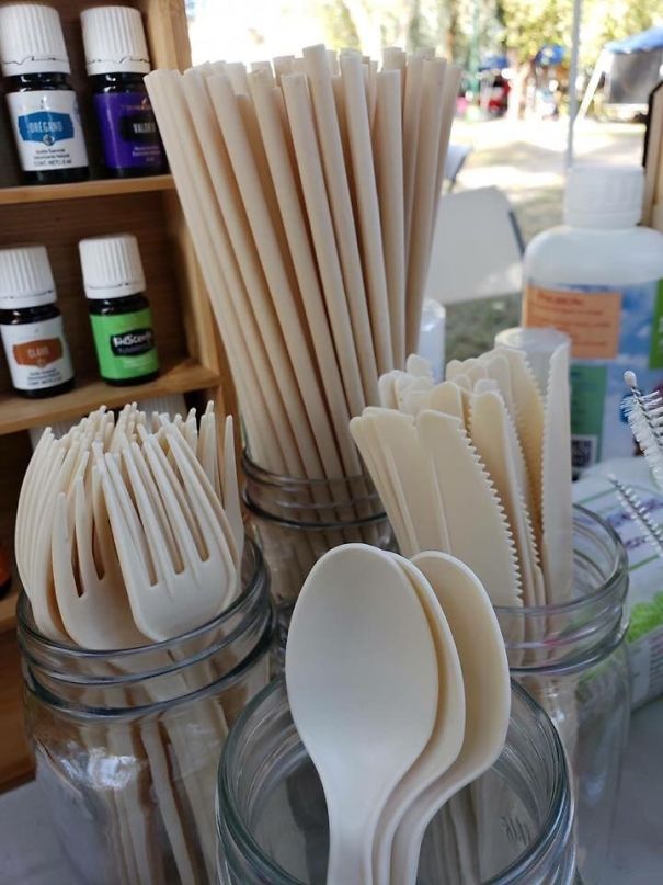 Single-Use Cutlery And Straws From Avocado Seeds