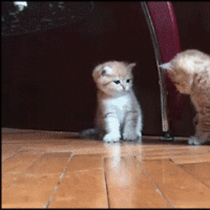 jacknburke-miller avatar