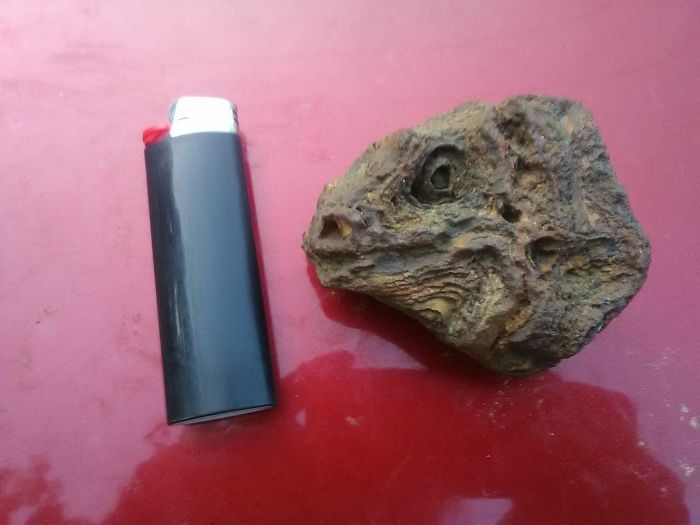 Piedra que parece la cabeza de una iguana