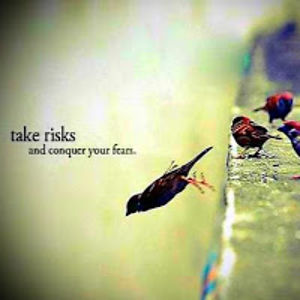 melindacheatham avatar