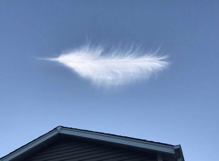Nube que parece una pluma