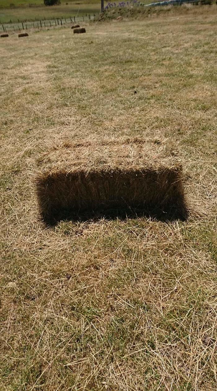 This Bale Of Hay Looks Like A Hole In The Ground