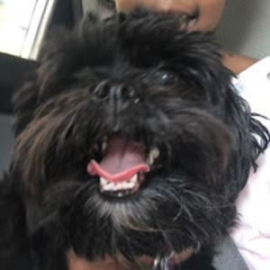 gymnastkellin avatar