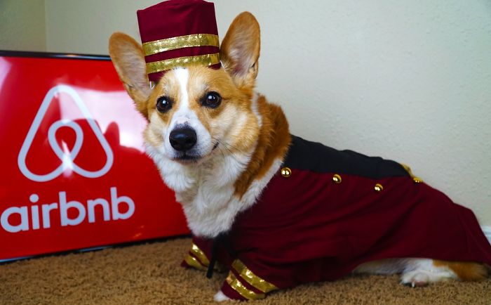 My Airbnb Has A Bellhop Now
