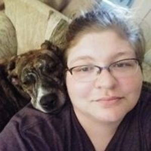 safeinthecity avatar