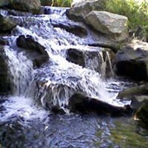 michaelfrade199 avatar