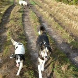 lindseysargent77 avatar