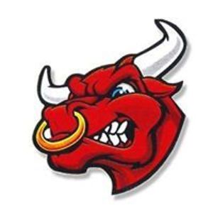 birgir_fannar_birgisson avatar