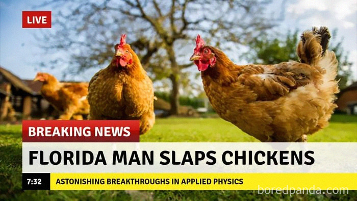 Physics-Major-Calculates-How-Hard-To-Slap-Chicken-To-Cook-It