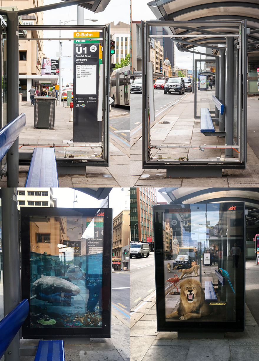 Impactful Illusion - Before & After Shots Impactful Illusion - Before & After Shots