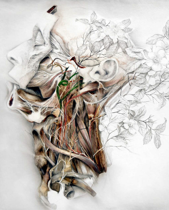 Artist Makes Flowers Bloom From Animal Bodies And The Result Is Beautiful