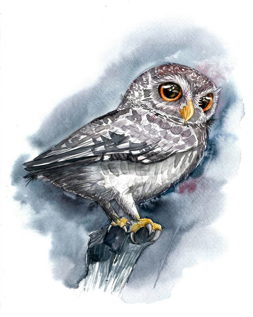 I Paint Tiny, Cute Owls On A Daily Basis And Can't Stop (17 Illos)