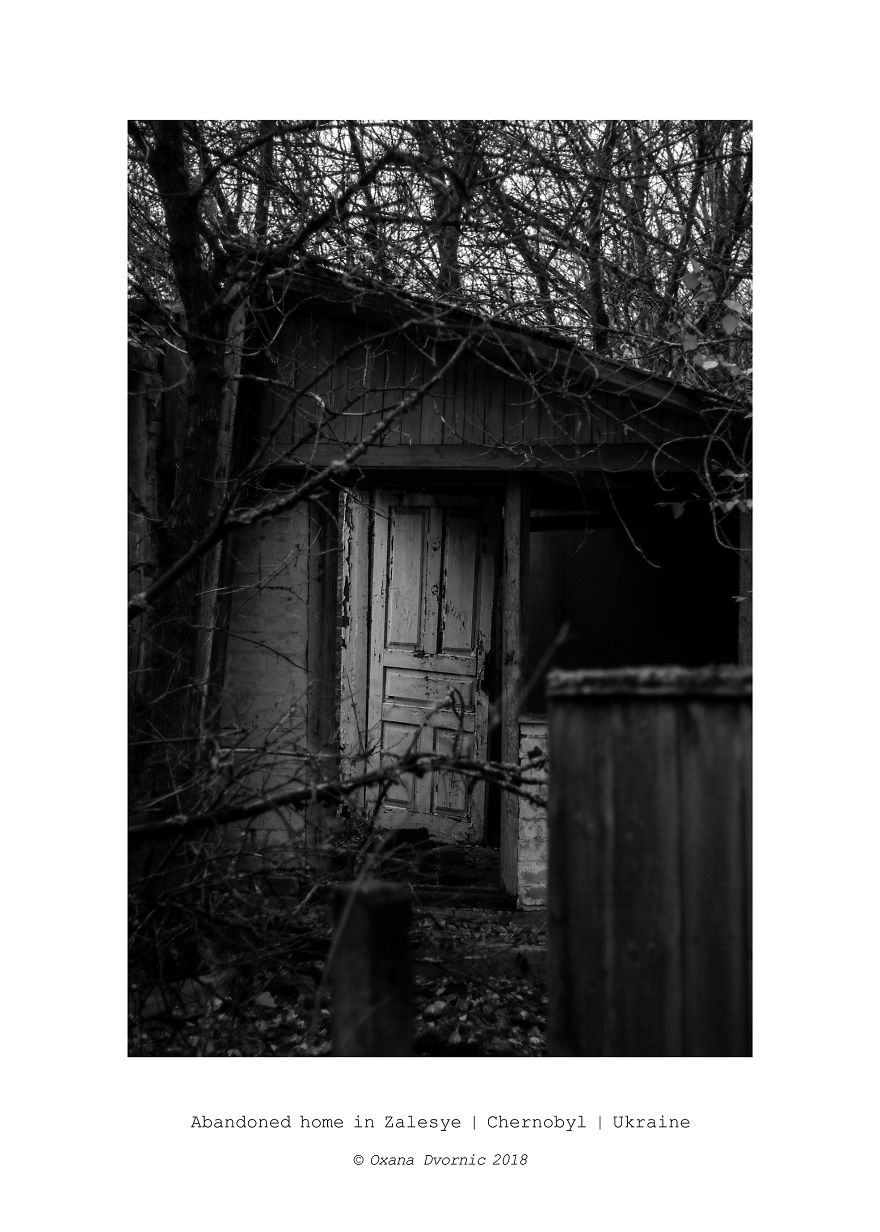 Life After Chernobyl Nuclear Disaster Life After Chernobyl Nuclear Disaster
