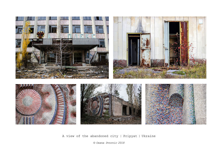Life After Chernobyl Nuclear Disaster Life After Chernobyl Nuclear Disaster